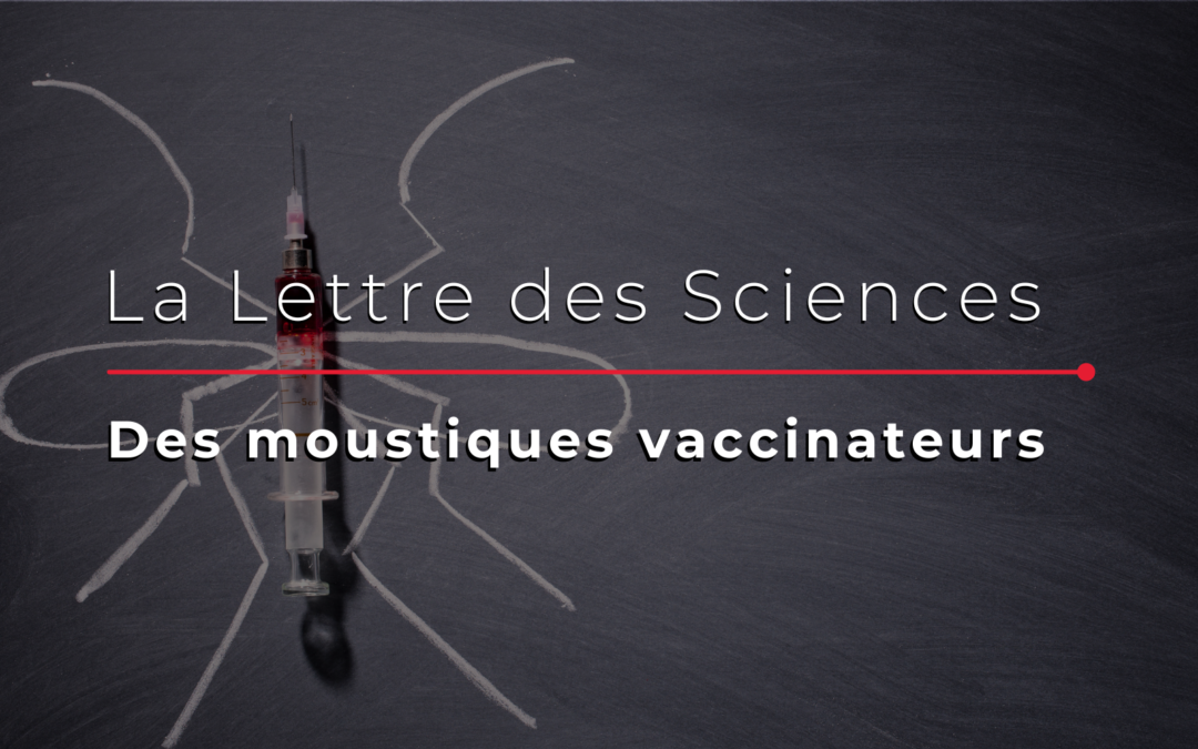 Paludisme : des moustiques vaccinateurs