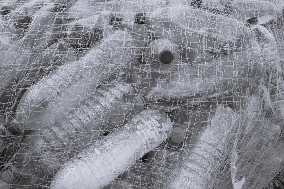 Biodégradation du plastique : quand la microbiologie recourt à l’intelligence artificielle